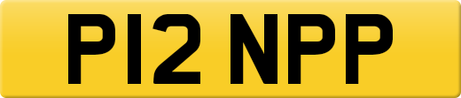 P12NPP