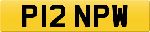 P12NPW