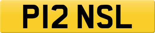 P12NSL