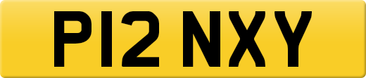 P12NXY