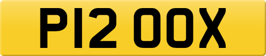 P12OOX