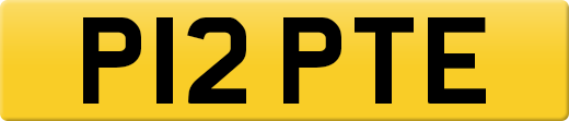 P12PTE