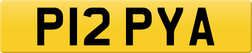 P12PYA