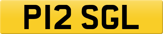 P12SGL