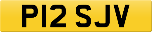 P12SJV