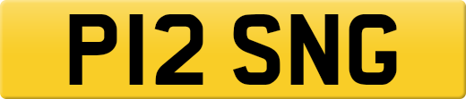 P12SNG