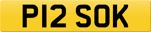 P12SOK