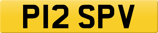 P12SPV