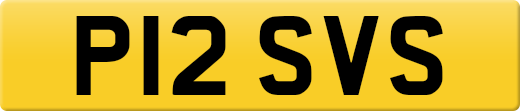 P12SVS