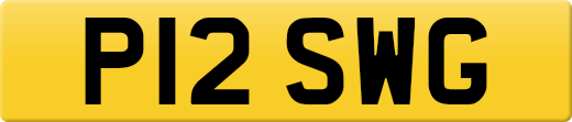 P12SWG