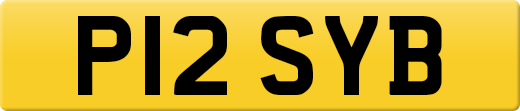 P12SYB