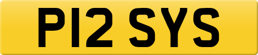 P12SYS