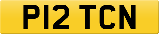 P12TCN