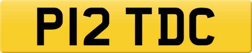 P12TDC