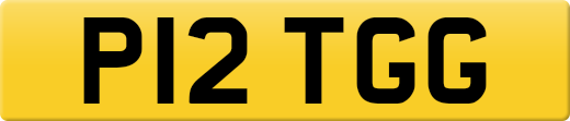 P12TGG