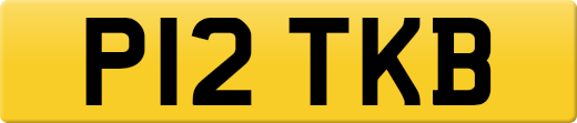 P12TKB