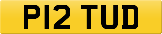 P12TUD