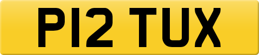 P12TUX