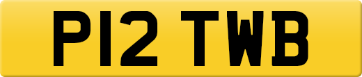 P12TWB