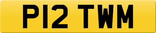 P12TWM