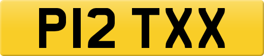 P12TXX