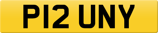 P12UNY