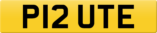 P12UTE