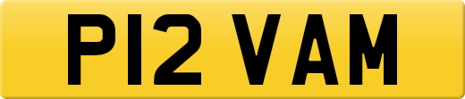 P12VAM