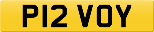 P12VOY