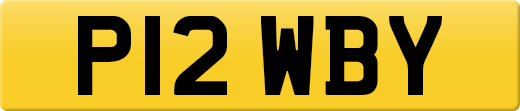 P12WBY