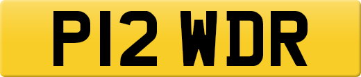 P12WDR