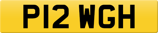 P12WGH
