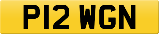 P12WGN