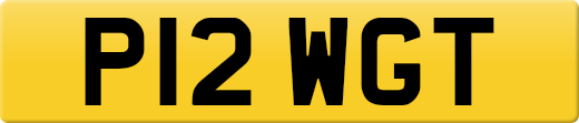 P12WGT