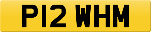 P12WHM