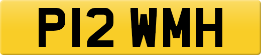 P12WMH