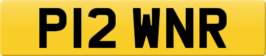 P12WNR