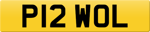 P12WOL