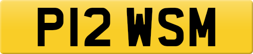 P12WSM