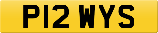 P12WYS