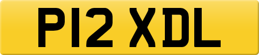 P12XDL