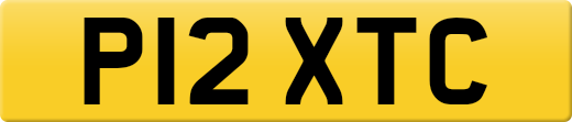 P12XTC