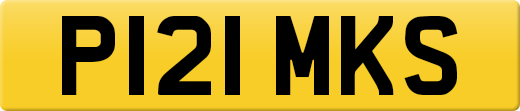 P121MKS