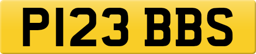 P123BBS