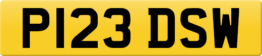 P123DSW