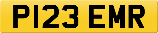 P123EMR