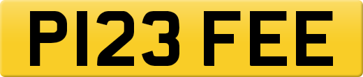 P123FEE