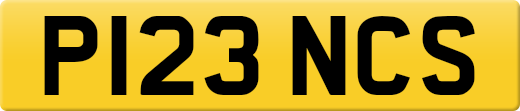 P123NCS