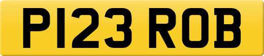 P123ROB