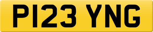 P123YNG